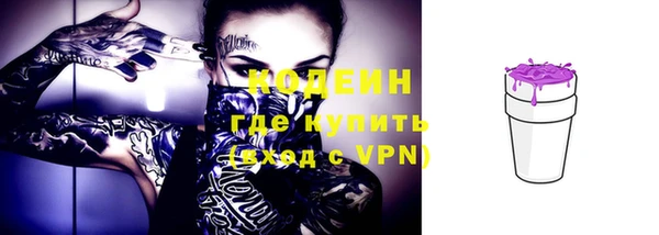 молекула духа Верхний Тагил