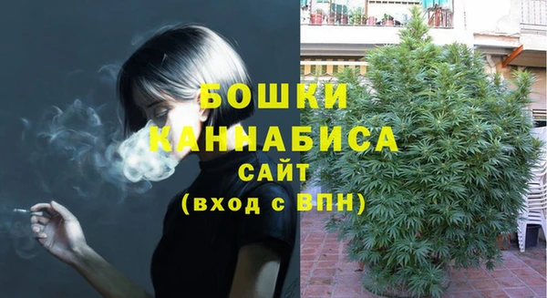 ALPHA PVP Горнозаводск