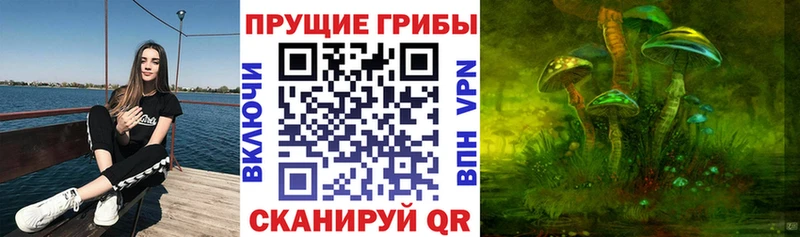 что такое наркотик Ермолино Галлюциногенные грибы мицелий